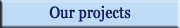Our projects